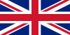 Bitzauto UK Flag